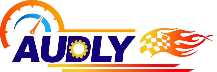 ¿Dónde y qué productos está haciendo AUDLY?